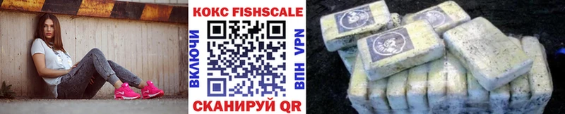 купить наркотики сайты  Дербент  hydra   Кокаин FishScale 