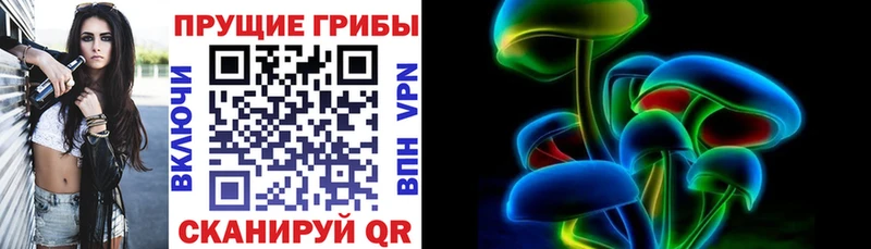 Псилоцибиновые грибы Psilocybine cubensis  Дербент 