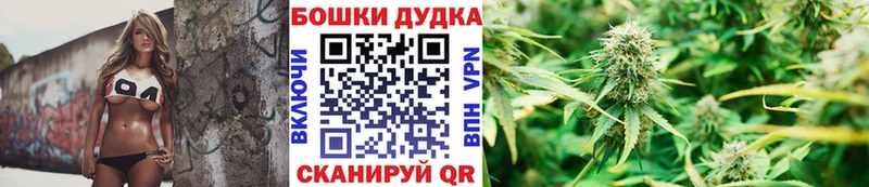 Бошки марихуана VHQ  что такое наркотик  кракен маркетплейс  Дербент 